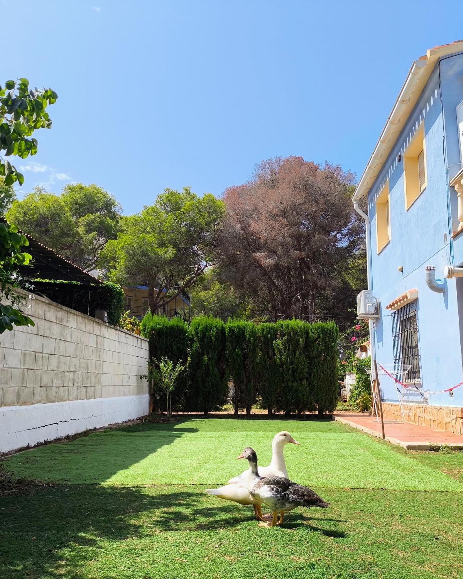 Estudio Las Rotas Denia Exterior foto